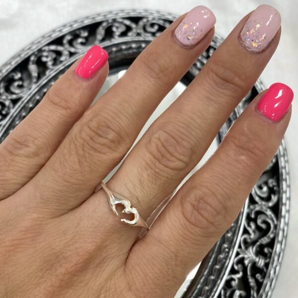 a Anillo asic 5