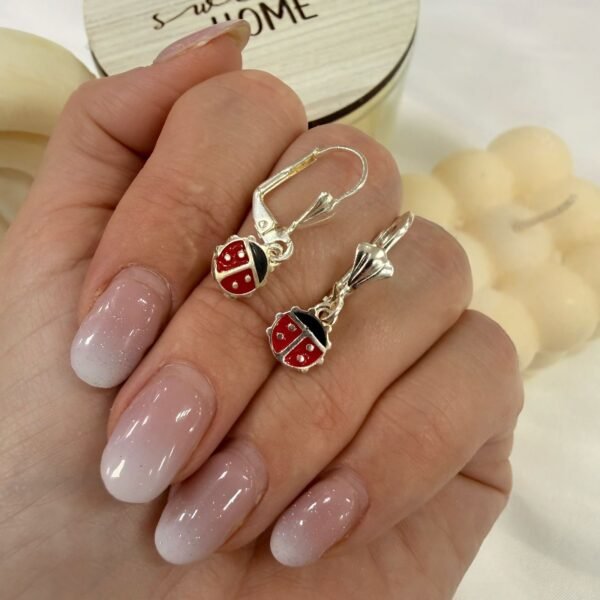 aros cierre brisura mod vaquita