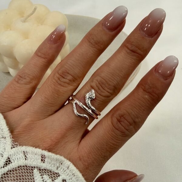 a anillo abud 67 regulables